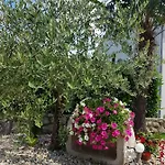 Pansion Katarina Krk Bed and breakfast Malinska