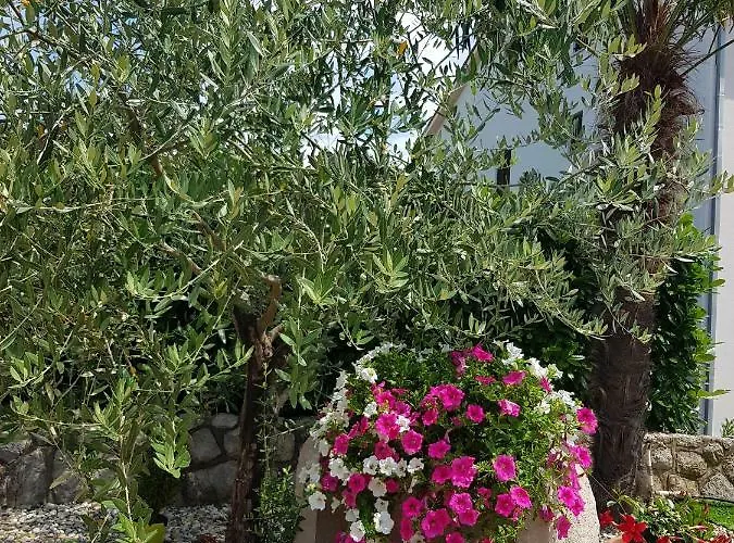 Pansion Katarina Krk Bed and breakfast Malinska